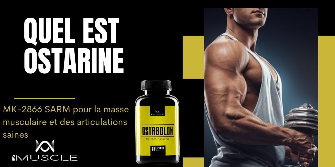 QUEL EST Ostarine