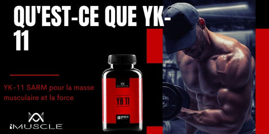 Qu'est-ce que YK-11
