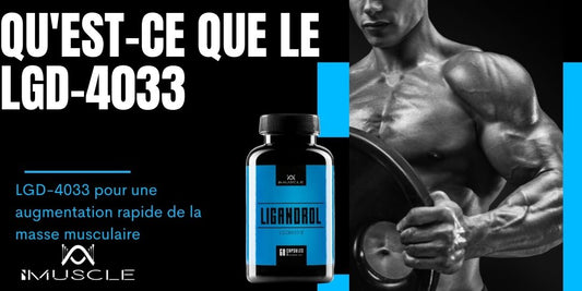 Qu'est-ce que le Ligandrol LGD-4033