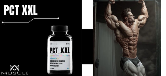 PCT XXL - Action