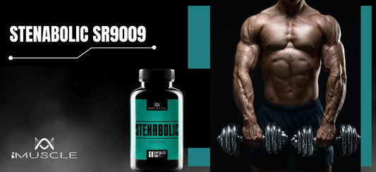 Action de Stenabolic SR9009