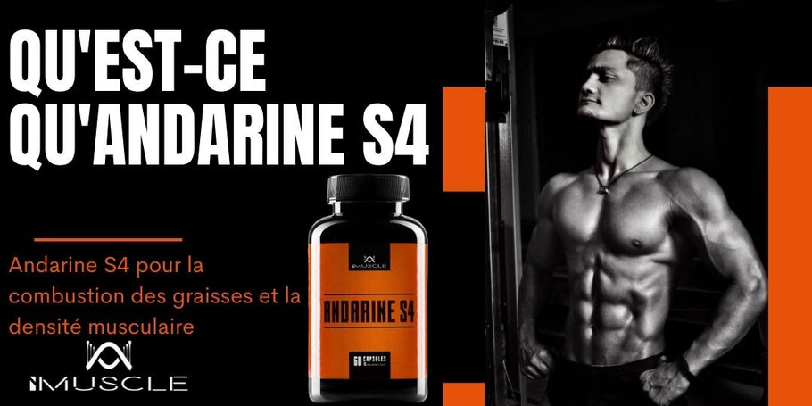 Qu'est-ce qu'Andarine S4